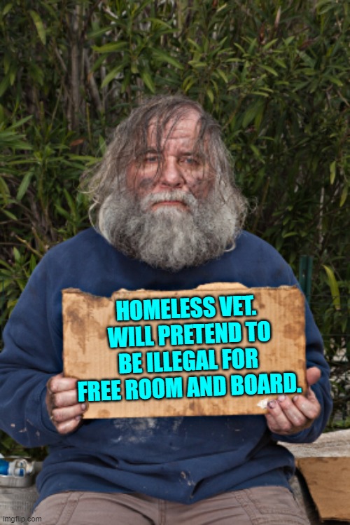 Yep . . . pretty much. | HOMELESS VET.  WILL PRETEND TO BE ILLEGAL FOR FREE ROOM AND BOARD. | image tagged in blak homeless sign | made w/ Imgflip meme maker