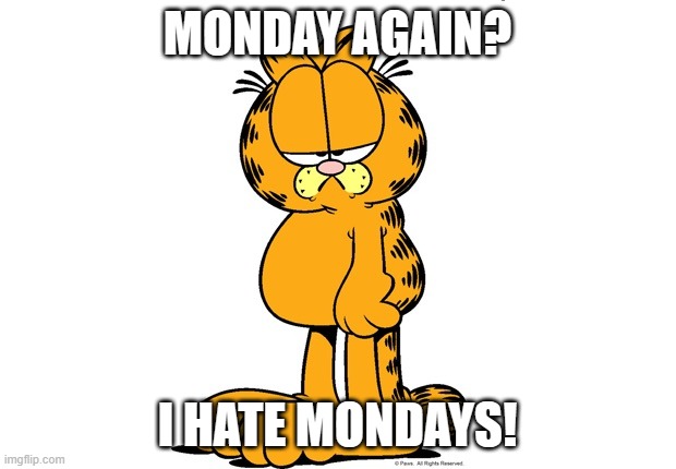 Monday again? | MONDAY AGAIN? I HATE MONDAYS! | image tagged in grumpy garfield | made w/ Imgflip meme maker