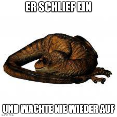 Wie die Dinos ausstarben | ER SCHLIEF EIN; UND WACHTE NIE WIEDER AUF | image tagged in dinosaurs,death,sleep,memes,viral | made w/ Imgflip meme maker