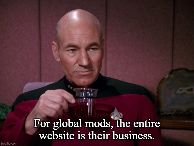 Picard Earl Grey tea | For global mods, the entire website is their business. | image tagged in picard earl grey tea | made w/ Imgflip meme maker