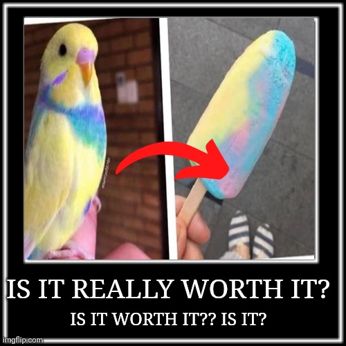 i dont think its worth it | IS IT WORTH IT?? IS IT? IS IT REALLY WORTH IT? | image tagged in birds,popsicle,sad | made w/ Imgflip meme maker