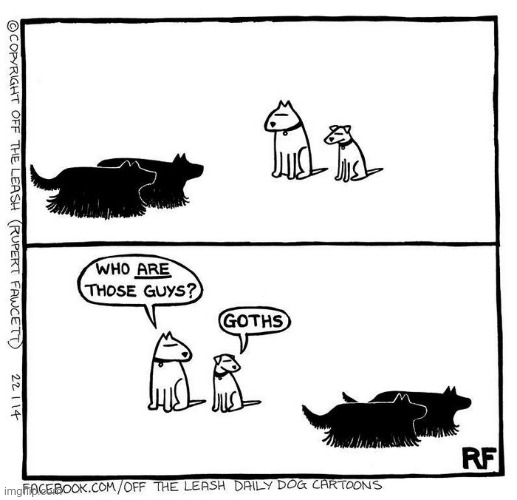 goths | image tagged in dogs | made w/ Imgflip meme maker