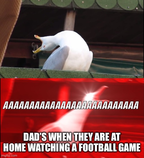 Screaming bird | AAAAAAAAAAAAAAAAAAAAAAAAAA DAD’S WHEN THEY ARE AT HOME WATCHING A FOOTBALL GAME | image tagged in screaming bird | made w/ Imgflip meme maker