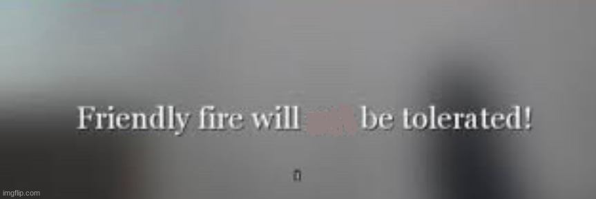 Friendly fire will not be tolerated | image tagged in friendly fire will not be tolerated | made w/ Imgflip meme maker