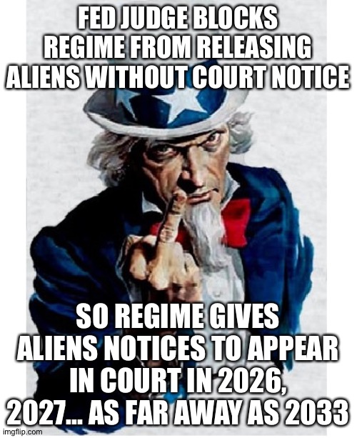 Uncle Sam Middle Finger | FED JUDGE BLOCKS REGIME FROM RELEASING ALIENS WITHOUT COURT NOTICE; SO REGIME GIVES ALIENS NOTICES TO APPEAR IN COURT IN 2026, 2027... AS FAR AWAY AS 2033 | image tagged in uncle sam middle finger | made w/ Imgflip meme maker