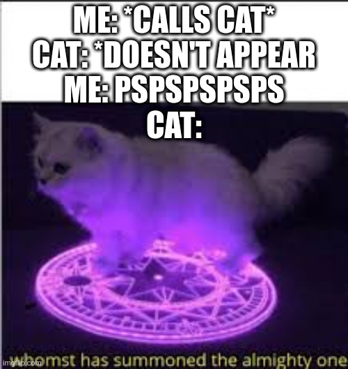 Slander | ME: *CALLS CAT*
CAT: *DOESN'T APPEAR
ME: PSPSPSPSPS
CAT: | image tagged in whomst has summoned the almighty one | made w/ Imgflip meme maker