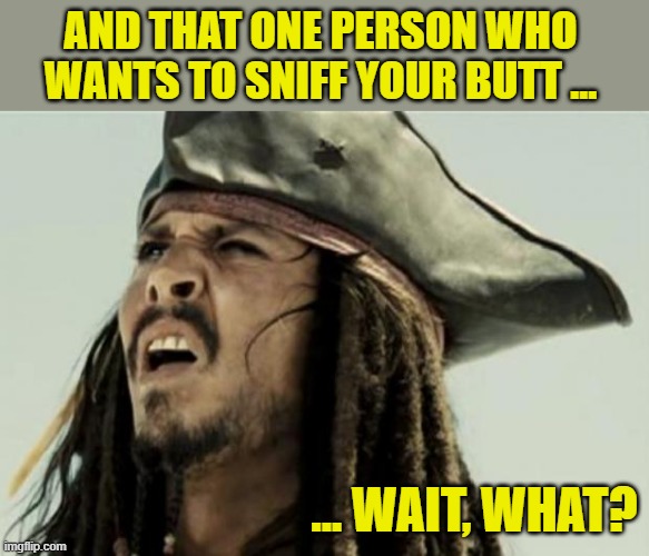 confused dafuq jack sparrow what | AND THAT ONE PERSON WHO WANTS TO SNIFF YOUR BUTT ... ... WAIT, WHAT? | image tagged in confused dafuq jack sparrow what | made w/ Imgflip meme maker