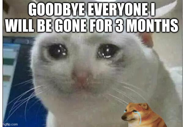 see you later | GOODBYE EVERYONE I WILL BE GONE FOR 3 MONTHS | image tagged in goodbye | made w/ Imgflip meme maker