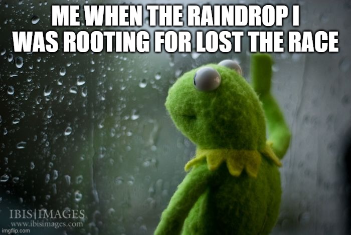 waa | ME WHEN THE RAINDROP I WAS ROOTING FOR LOST THE RACE | image tagged in kermit window | made w/ Imgflip meme maker