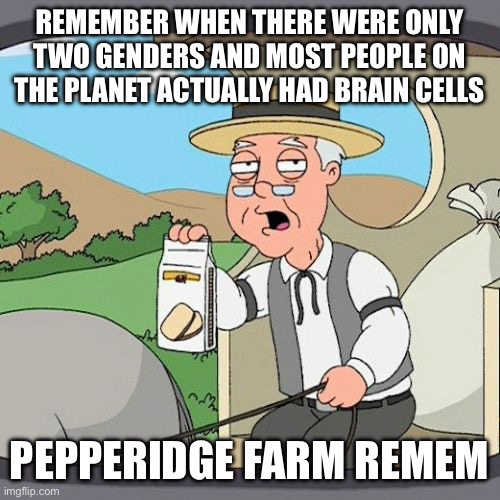 I miss the old days | REMEMBER WHEN THERE WERE ONLY TWO GENDERS AND MOST PEOPLE ON THE PLANET ACTUALLY HAD BRAIN CELLS; PEPPERIDGE FARM REMEMBERS | image tagged in memes,pepperidge farm remembers | made w/ Imgflip meme maker