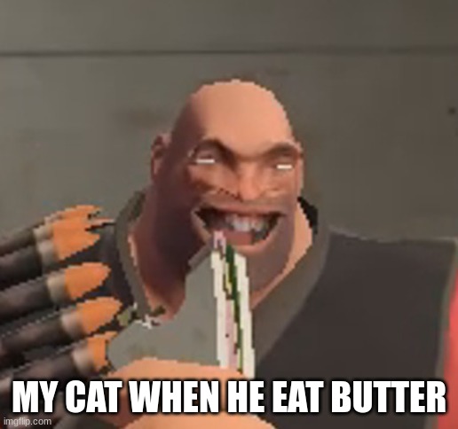 MY CAT WHEN HE EAT BUTTER | image tagged in tf2,team fortress 2 | made w/ Imgflip meme maker