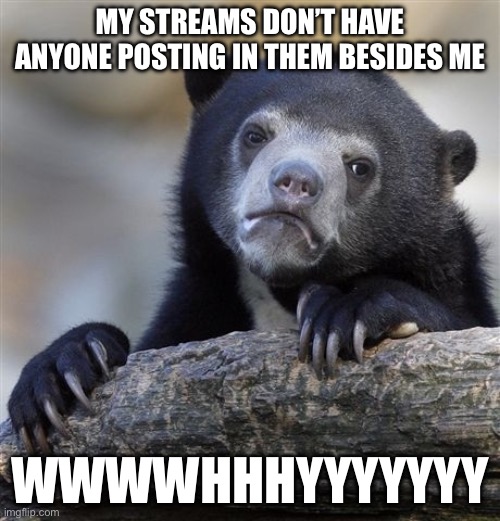Bears | MY STREAMS DON’T HAVE ANYONE POSTING IN THEM BESIDES ME; WWWWHHHYYYYYYY | image tagged in memes,confession bear | made w/ Imgflip meme maker