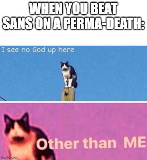 I see no god up here | WHEN YOU BEAT SANS ON A PERMA-DEATH: | image tagged in i see no god up here | made w/ Imgflip meme maker