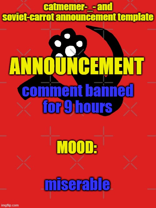 idk why | comment banned for 9 hours; miserable | image tagged in catmemer-_- and soviet-carrot announcement template | made w/ Imgflip meme maker
