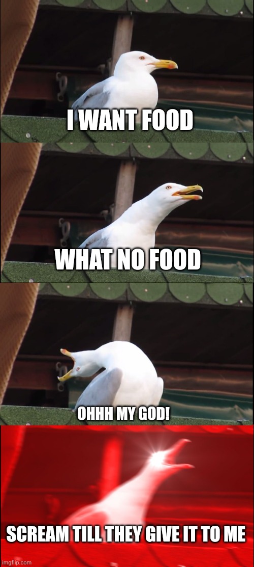 Seagull bird mad over no food | I WANT FOOD; WHAT NO FOOD; OHHH MY GOD! SCREAM TILL THEY GIVE IT TO ME | image tagged in memes,inhaling seagull,funny memes,seagull bird,no food | made w/ Imgflip meme maker