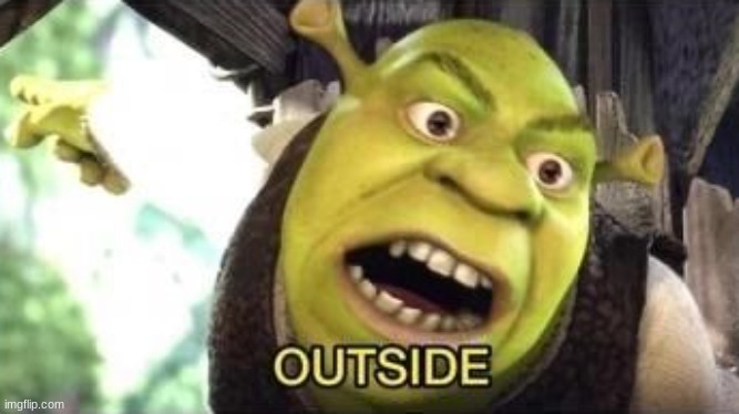no context, just shrek | image tagged in outside | made w/ Imgflip meme maker