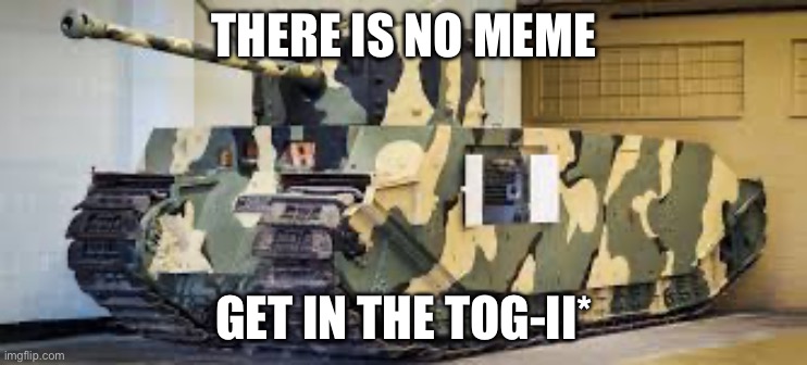 TOG-II* | THERE IS NO MEME; GET IN THE TOG-II* | image tagged in tog-ii | made w/ Imgflip meme maker