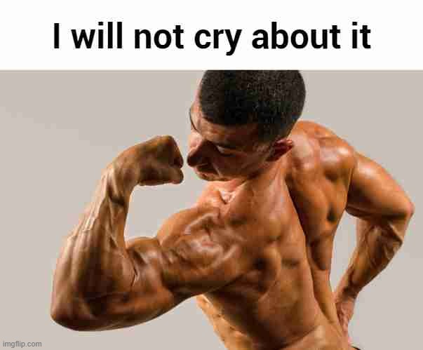 I will not cry about it | image tagged in i will not cry about it | made w/ Imgflip meme maker