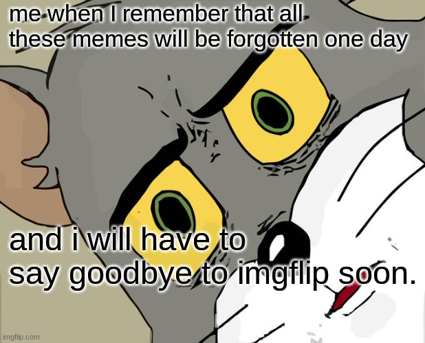 i will miss imgflip man... | me when I remember that all these memes will be forgotten one day; and i will have to say goodbye to imgflip soon. | image tagged in memes,unsettled tom | made w/ Imgflip meme maker