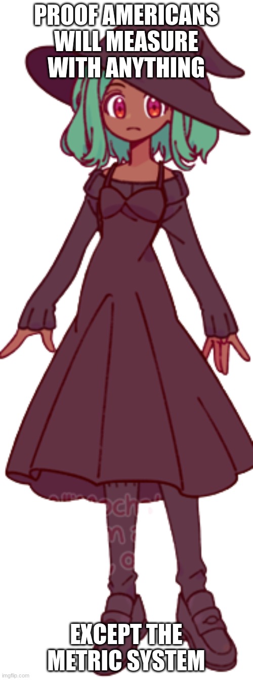 Bossfights Inkmatas | PROOF AMERICANS WILL MEASURE WITH ANYTHING EXCEPT THE METRIC SYSTEM | image tagged in bossfights inkmatas | made w/ Imgflip meme maker