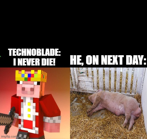 Dont say that what you dont know! | TECHNOBLADE: I NEVER DIE! HE, ON NEXT DAY: | image tagged in pig,technoblade,maxumohio | made w/ Imgflip meme maker