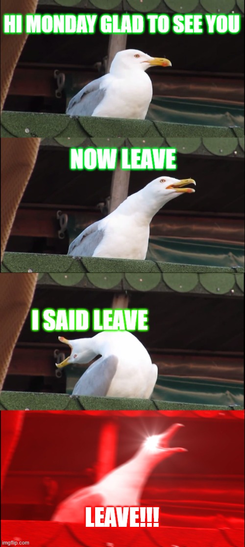 Monday | HI MONDAY GLAD TO SEE YOU; NOW LEAVE; I SAID LEAVE; LEAVE!!! | image tagged in memes,inhaling seagull | made w/ Imgflip meme maker
