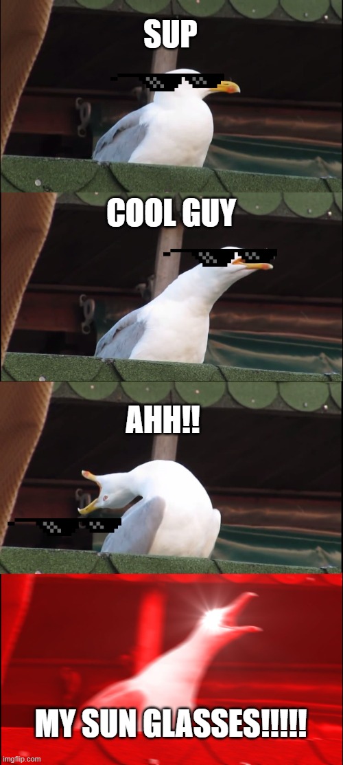 Inhaling Seagull | SUP; COOL GUY; AHH!! MY SUN GLASSES!!!!! | image tagged in memes,inhaling seagull | made w/ Imgflip meme maker