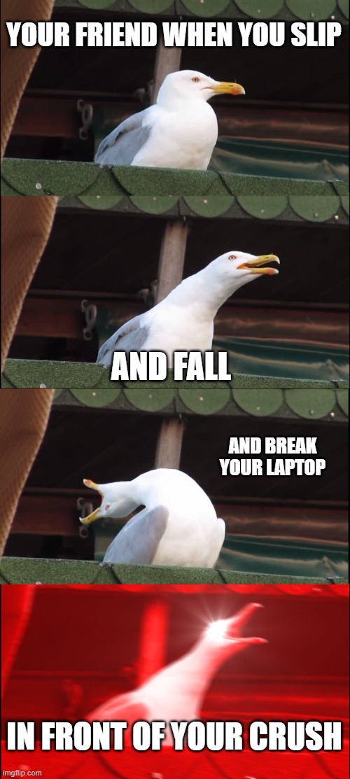 Inhaling Seagull | YOUR FRIEND WHEN YOU SLIP; AND FALL; AND BREAK YOUR LAPTOP; IN FRONT OF YOUR CRUSH | image tagged in memes,inhaling seagull,clumsy,funny,seagull | made w/ Imgflip meme maker