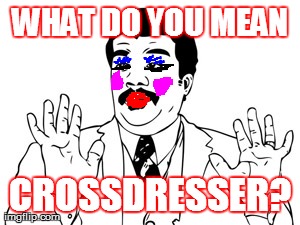 Neil deGrasse Tyson Meme | WHAT DO YOU MEAN CROSSDRESSER? | image tagged in memes,neil degrasse tyson | made w/ Imgflip meme maker