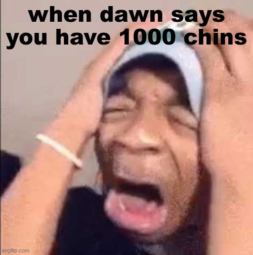 fwrffwefewwefwtgrtegroh8i3f4 | when dawn says you have 1000 chins | image tagged in flightreacts crying,g3oh3f4ouhf4foiuhf34gohu3g4goug3rouhf34ouh3guof434,dawn,sucks,at,life | made w/ Imgflip meme maker