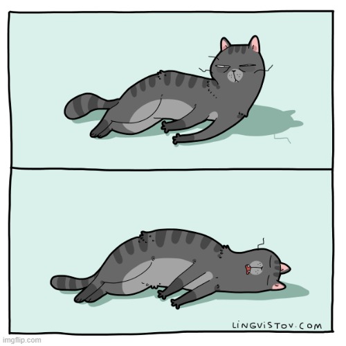 A Cat's Way Of Thinking | image tagged in memes,comics/cartoons,cats,yes,do you need help,i sleep | made w/ Imgflip meme maker
