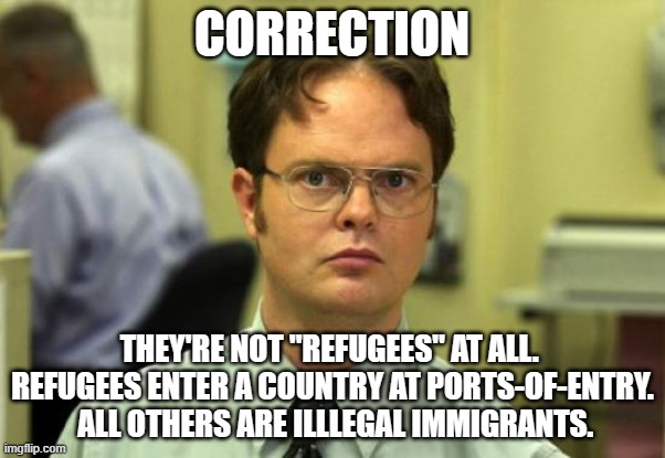 Dwight Schrute Meme | CORRECTION THEY'RE NOT "REFUGEES" AT ALL.  REFUGEES ENTER A COUNTRY AT PORTS-OF-ENTRY.  ALL OTHERS ARE ILLLEGAL IMMIGRANTS. | image tagged in memes,dwight schrute | made w/ Imgflip meme maker