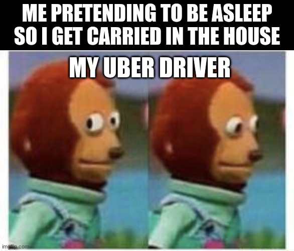 side eye teddy | ME PRETENDING TO BE ASLEEP SO I GET CARRIED IN THE HOUSE; MY UBER DRIVER | image tagged in side eye teddy | made w/ Imgflip meme maker