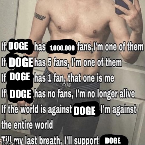 if X has X fans | DOGE; 1,000,000; DOGE; DOGE; DOGE; DOGE; DOGE | image tagged in if x has x fans | made w/ Imgflip meme maker