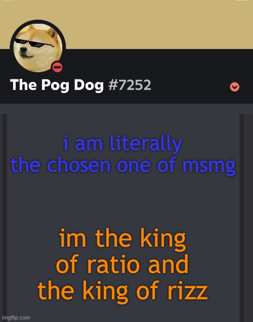epic doggos epic discord temp | i am literally the chosen one of msmg; im the king of ratio and the king of rizz | image tagged in epic doggos epic discord temp | made w/ Imgflip meme maker