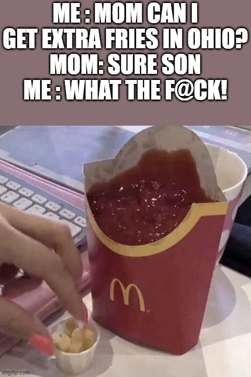 im in ohio ;-; | ME : MOM CAN I GET EXTRA FRIES IN OHIO?
MOM: SURE SON
ME : WHAT THE F@CK! | image tagged in ketchup with a side of fries | made w/ Imgflip meme maker
