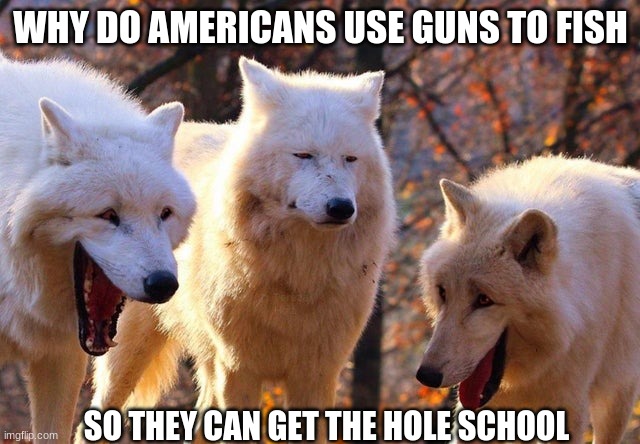 The Three Wolves | WHY DO AMERICANS USE GUNS TO FISH; SO THEY CAN GET THE HOLE SCHOOL | image tagged in the three wolves | made w/ Imgflip meme maker