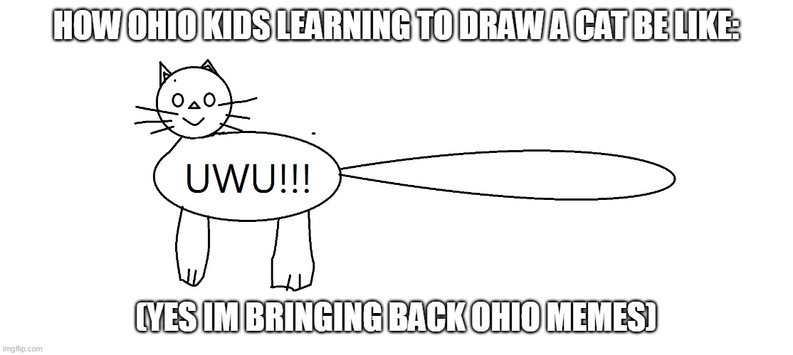 kid draw a ohio cat | HOW OHIO KIDS LEARNING TO DRAW A CAT BE LIKE:; (YES IM BRINGING BACK OHIO MEMES) | image tagged in only in ohio,ohio,kid,cat,cursed image | made w/ Imgflip meme maker