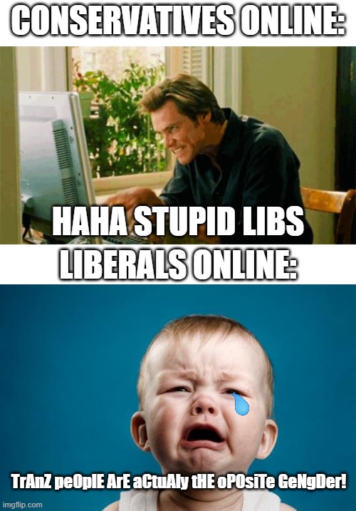 THE INTERNET!. | CONSERVATIVES ONLINE:; HAHA STUPID LIBS; LIBERALS ONLINE:; TrAnZ peOplE ArE aCtuAly tHE oPOsiTe GeNgDer! | image tagged in typing | made w/ Imgflip meme maker
