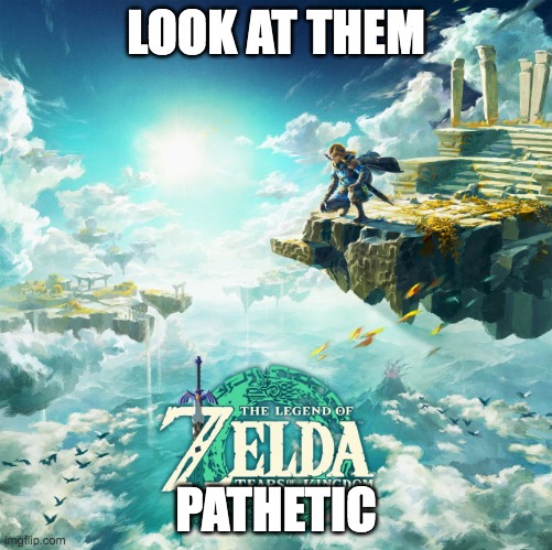 Tears of the Kingdom | LOOK AT THEM; PATHETIC | image tagged in tears of the kingdom | made w/ Imgflip meme maker