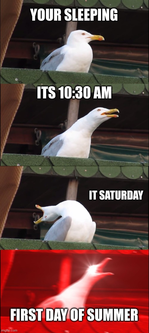 Inhaling Seagull Meme | YOUR SLEEPING; ITS 10:30 AM; IT SATURDAY; FIRST DAY OF SUMMER | image tagged in memes,inhaling seagull | made w/ Imgflip meme maker