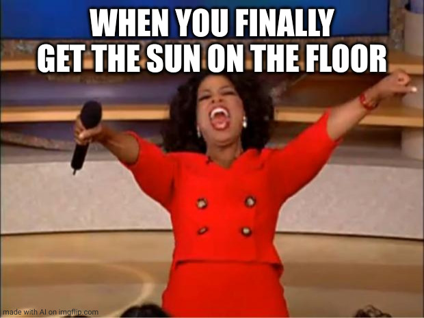 Oprah You Get A | WHEN YOU FINALLY GET THE SUN ON THE FLOOR | image tagged in memes,oprah you get a | made w/ Imgflip meme maker