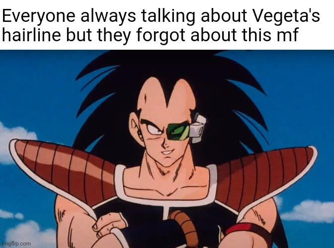 Raditz | Everyone always talking about Vegeta's hairline but they forgot about this mf | image tagged in raditz | made w/ Imgflip meme maker