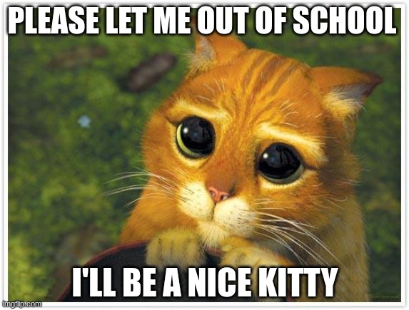 Shrek Cat Meme | PLEASE LET ME OUT OF SCHOOL; I'LL BE A NICE KITTY | image tagged in memes,shrek cat | made w/ Imgflip meme maker
