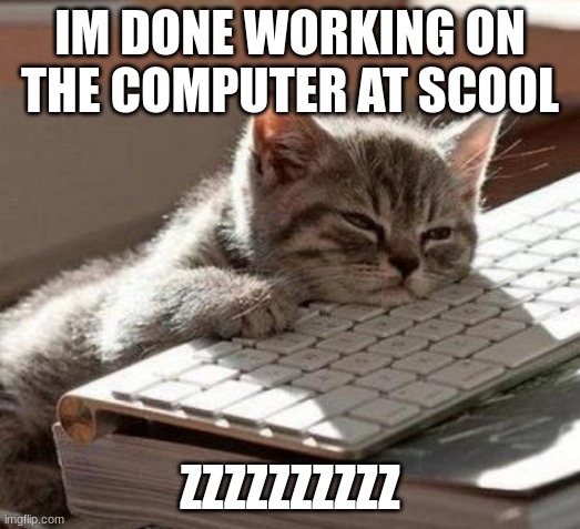 tired cat | IM DONE WORKING ON THE COMPUTER AT SCOOL; ZZZZZZZZZZ | image tagged in tired cat | made w/ Imgflip meme maker