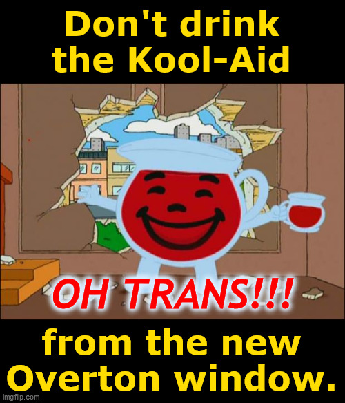 Don't drink the Kool-Aid | Don't drink
the Kool-Aid; OH TRANS!!! from the new
Overton window. | image tagged in koolaid man,trans agenda,overton window,propaganda,corporatocracy,division | made w/ Imgflip meme maker