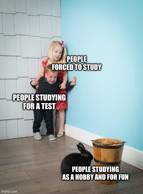 Whaaaaaa... | PEOPLE FORCED TO STUDY; PEOPLE STUDYING FOR A TEST; PEOPLE STUDYING AS A HOBBY AND FOR FUN | image tagged in kids afraid of rabbit | made w/ Imgflip meme maker