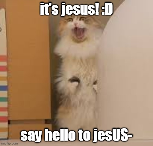 Jesus cat | it's jesus! :D; say hello to jesUS- | image tagged in cat | made w/ Imgflip meme maker
