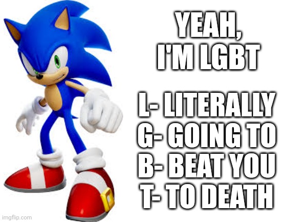 Sonic | YEAH, I'M LGBT; L- LITERALLY
G- GOING TO
B- BEAT YOU
T- TO DEATH | image tagged in blank white template,sonic the hedgehog | made w/ Imgflip meme maker