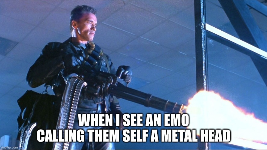 Terminator Minigun Arnold Schwarzenegger | WHEN I SEE AN EMO CALLING THEM SELF A METAL HEAD | image tagged in terminator minigun arnold schwarzenegger | made w/ Imgflip meme maker